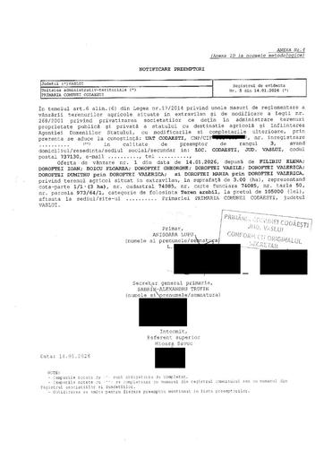 Oferta Doroftei 3 00