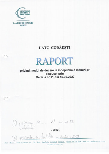Raport Curtea de Conturi 1